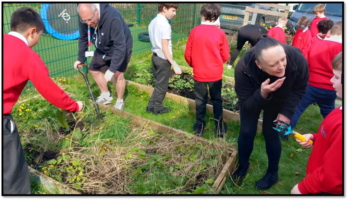 children digging in the garden, planting plants
